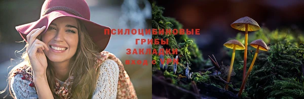 экстази Медвежьегорск