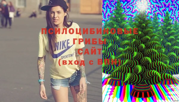 экстази Медвежьегорск